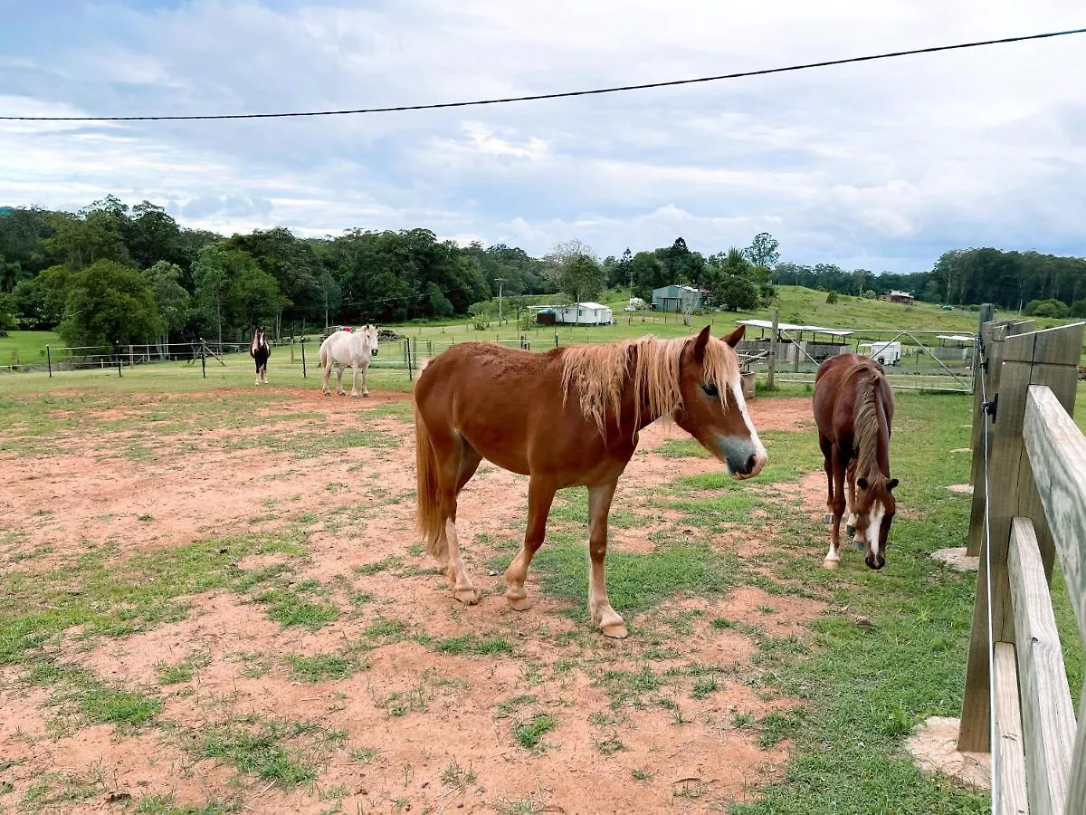 Seven Peaks Farm Stay Beerwah